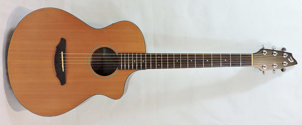 Breedlove C250 Electro-Acoustic - Used