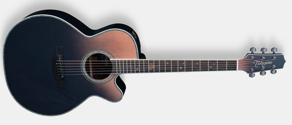 Takamine LTD24