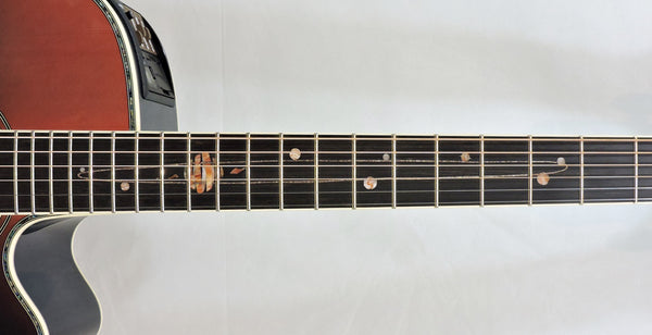 Takamine LTD24