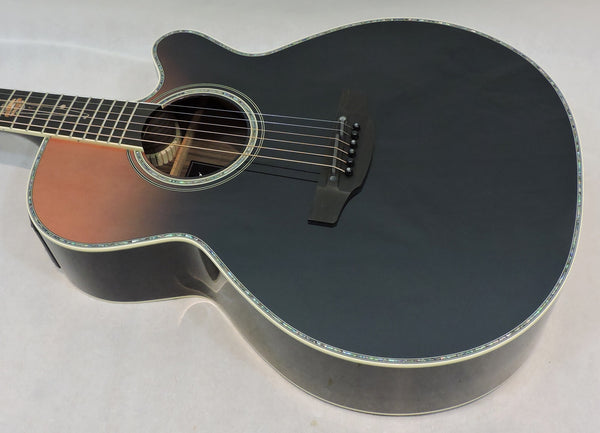 Takamine LTD24