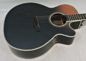 Takamine LTD24