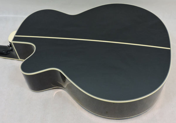 Takamine LTD24