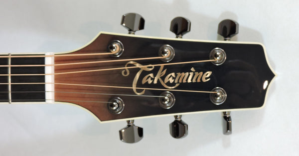 Takamine LTD24